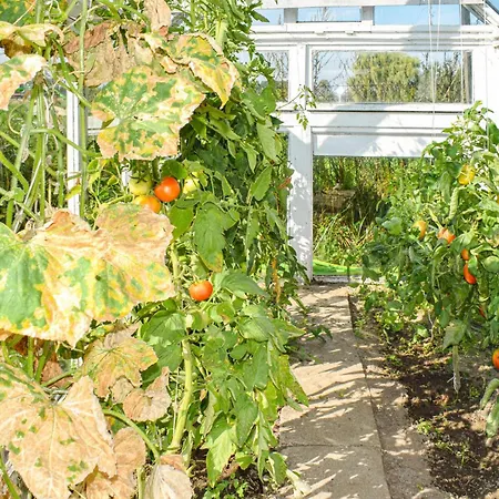 بيت للعطل Dom W Sadzie